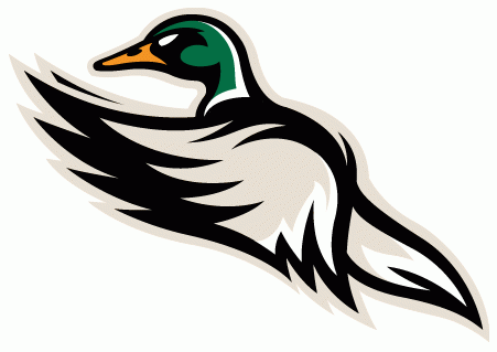 quad city mallards 2014-pres alternate logo v3 iron on heat transfer